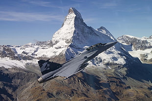 gray jet, JAS-39 Gripen, jet fighter, airplane, aircraft