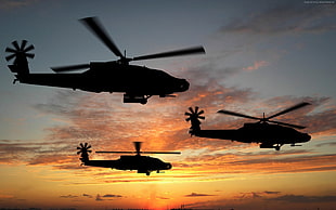 silhouette of three helicopters