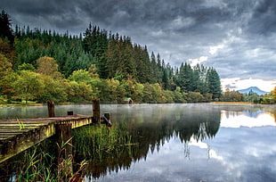 brown wooden lake dock, landscape, river