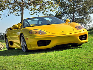 yellow sports coupe parked beside trees