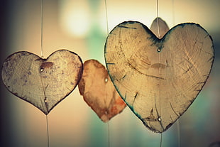 selective focus photography of heart-shaped decors