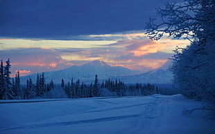 snow landscape, nature, landscape, winter HD wallpaper