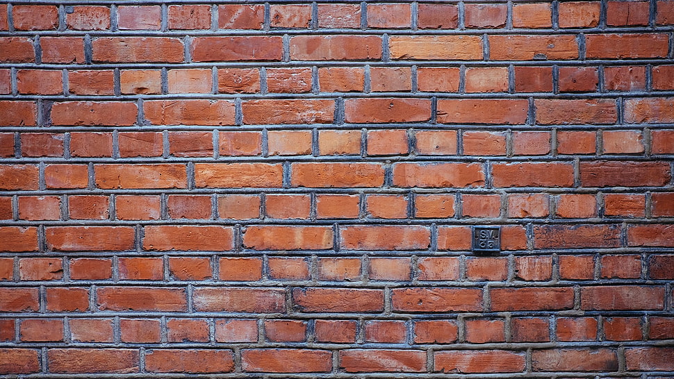 brown wall bricks, bricks, texture, textured HD wallpaper