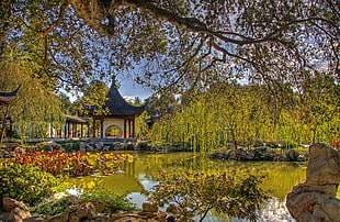 landscape photography of gazebo near body of water surrounded by trees