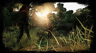 The Last of Us wallpaper, The Last of Us, video games HD wallpaper