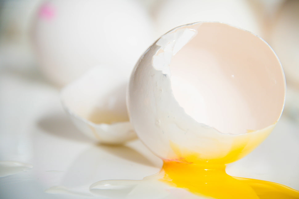 white crock egg HD wallpaper