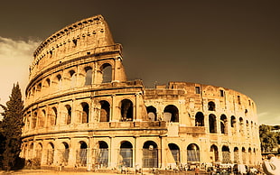 Colosseum Rome Italy HD wallpaper