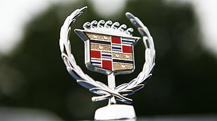 Cadillac hood ornament, Cadillac, car