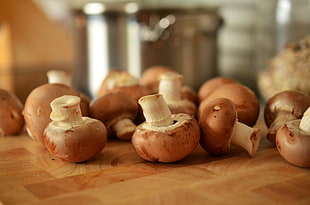 bunch of brown mushrooms