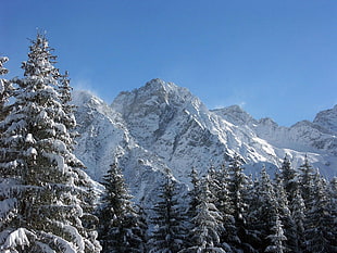 white snow-covered mountain during daytime on louidless skiy