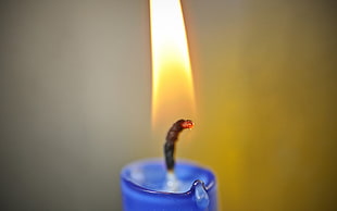 blue candle lighted