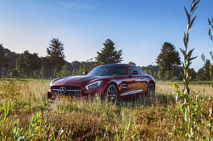 red Mercedes-Benz on green grass under blue sky HD wallpaper