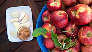 apple fruit lot, food, apples HD wallpaper