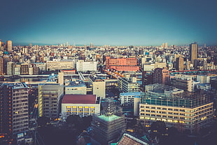 aerial view of concrete buildings HD wallpaper