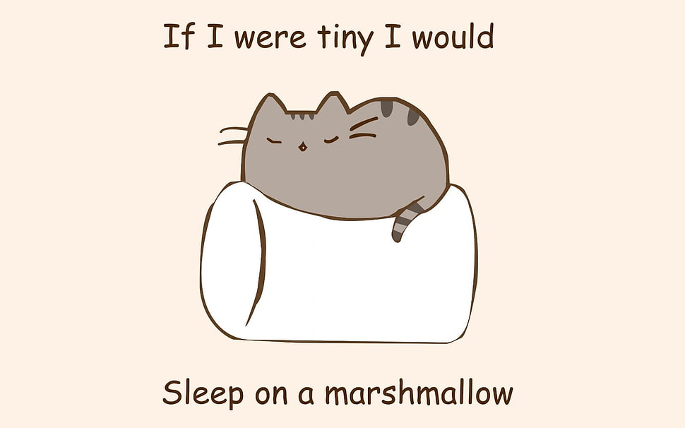 white and black dog tag, cat, marshmallows, artwork, typography HD wallpaper