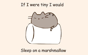 white and black dog tag, cat, marshmallows, artwork, typography