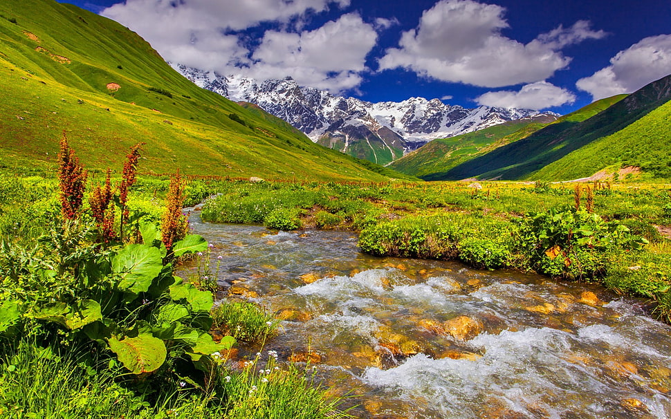 river and green grass field, nature, mountains, water, sky HD wallpaper