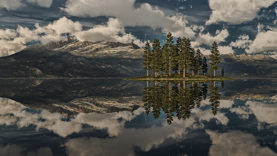 green leafed trees, nature, landscape, clouds, trees HD wallpaper