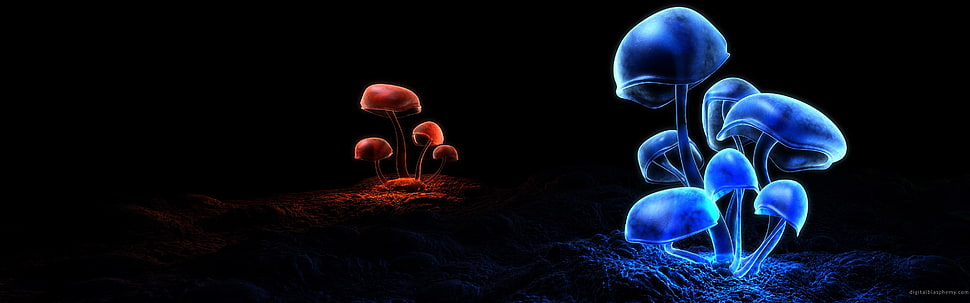 blue and red mushrooms, multiple display, mushroom, nature, digital art HD wallpaper