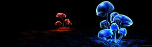 blue and red mushrooms, multiple display, mushroom, nature, digital art