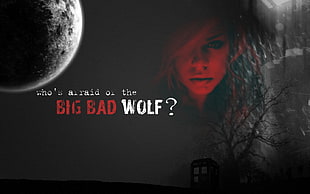 Big Bad Wolf wallpaper, Doctor Who, Bad Wolf, TARDIS, Rose Tyler HD wallpaper