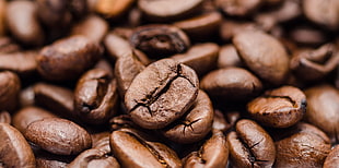 beans, coffee, espresso, morning HD wallpaper