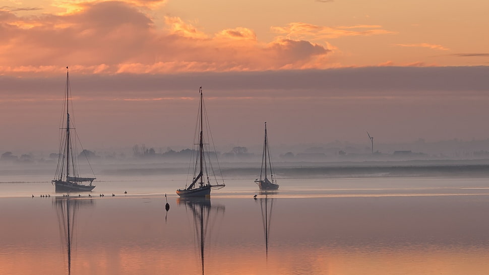 three white sail boats, sailing ship HD wallpaper