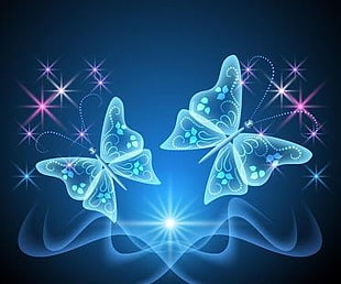 blue butterflies illustration HD wallpaper