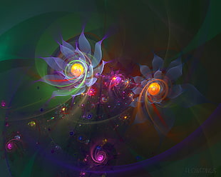 multicolored flower illustration HD wallpaper