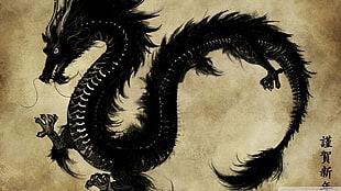 illustration of black dragon HD wallpaper