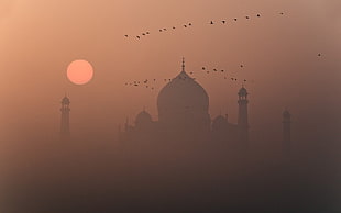 Taj Mahal, India, nature, mist, Taj Mahal, India