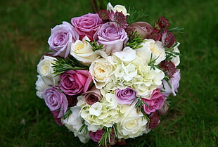 pink, white, and red flower bouquet