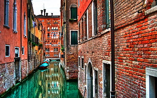 red concrete houses, Venezia Canal Grande, Venice, canal