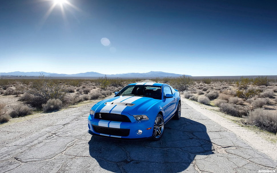 blue and white 5-door hatchback, car, vehicle, desert, blue cars HD wallpaper