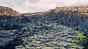 rock formation, nature, Giant's Causeway, Ireland HD wallpaper
