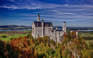 gray and blue mansion, Schloss Neuschwanstein HD wallpaper