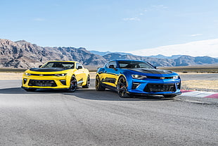 two yellow and blue Chevrolet Camaro