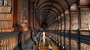 assorted book lot, library, books, Trinity College Library, Dublin HD wallpaper