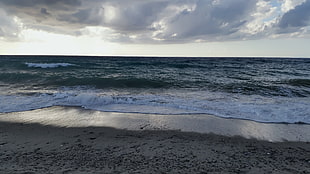 seashore under cloudy sky, beach