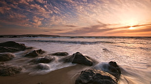 seashore near body of water during sunset HD wallpaper