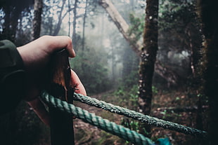 blue rope, forest, hands