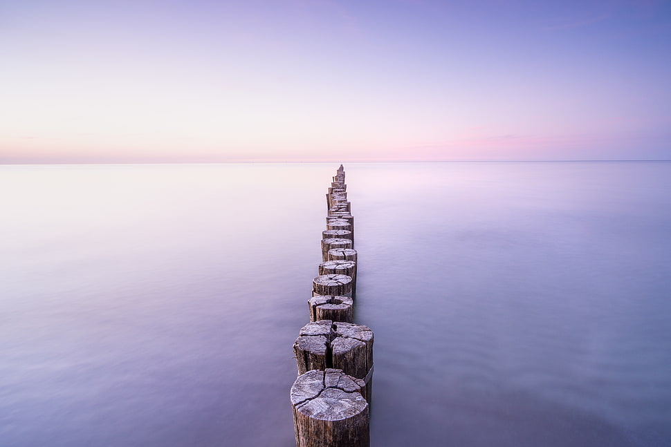 wooden logs docs HD wallpaper