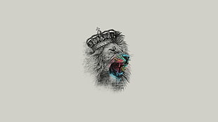 king lion sketch HD wallpaper