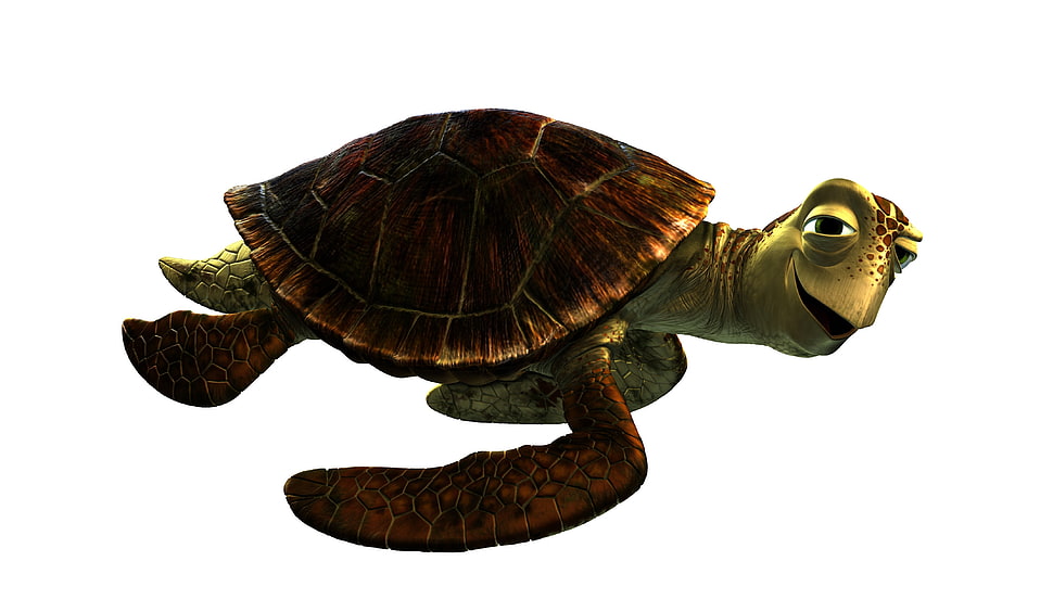 Finding Nemo Turtle character HD wallpaper