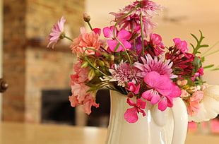 bokeh photography of pink flowers HD wallpaper