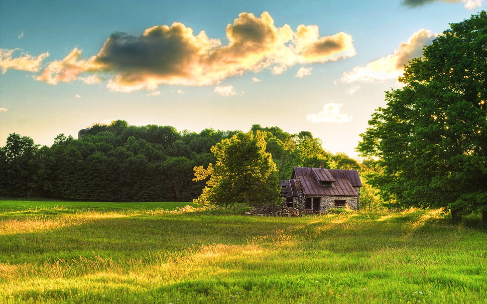 brown and gray house, nature, clouds, grass, cabin HD wallpaper