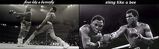 Muhammad Ali photo collage, Muhammad Ali, boxing, sports