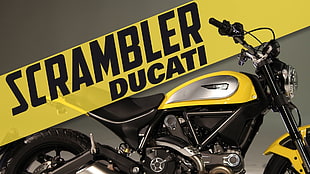 yellow and black Scrambler Ducati motorcycle, Ducati, Ducati Scrambler