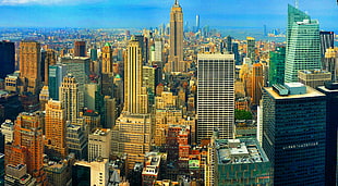 New York City skyline during daytime