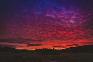 red and purple clouds